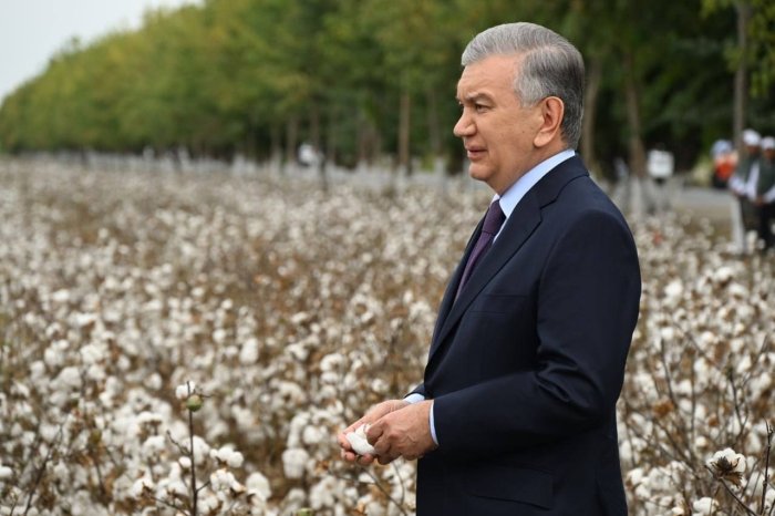 Нориндаги лойиҳа балиқчилик бўйича намуна  