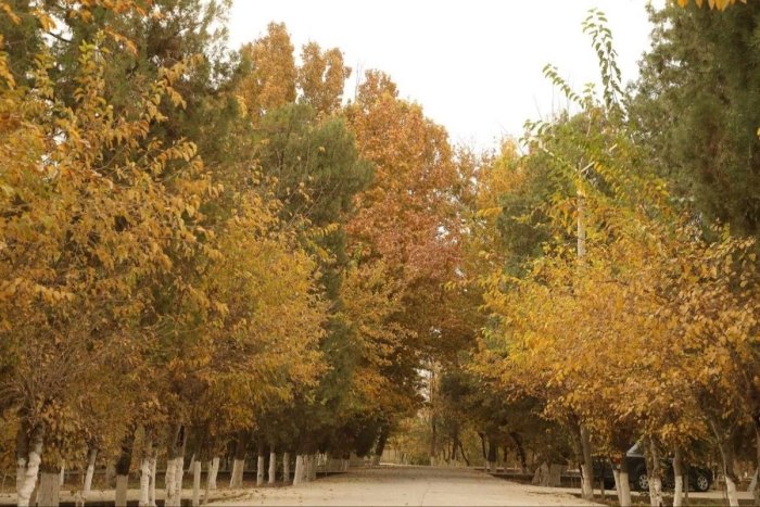 Dam olish kunlariga oid ob-havo ma’lumotlari e’lon qilindi