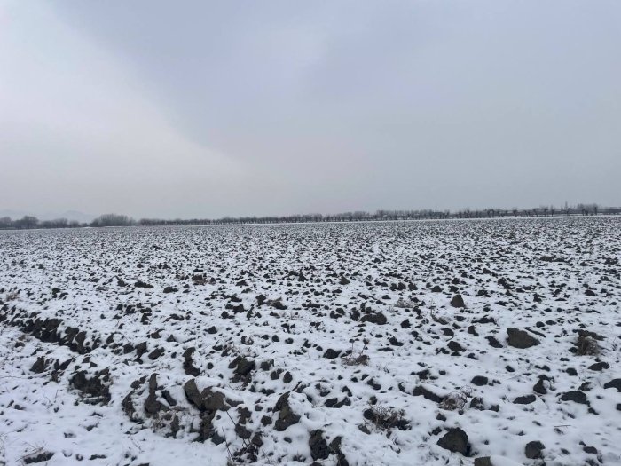 MIB: Paxtachi tumanida qarzdorlik sabab yer maydonlari xatlandi