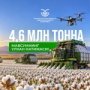 Ўзбекистон пахта режасини 103 %га бажарди