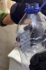 Тошкентдаги уйлардан бирида илон чиқди