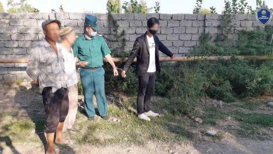 Toshkent viloyatida 21 yoshli yigit 5 kilo marixuanani sotayotganda ushlandi