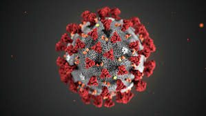 40-o‘lim: Navoiyda 38 yoshli erkak koronavirusdan vafot etgani rasman tasdiqlandi