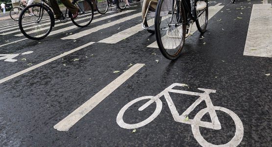 Poytaxtda uzunligi 50 kilometrli “Salomatlik yo‘laklari” tashkil etiladi