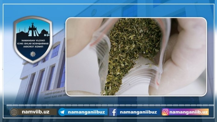 Fuqaroning yashash xonadonidan giyohvand modda aniqlandi