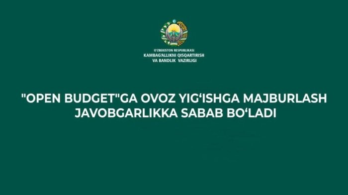 “Tashabbusli byudjet” jarayonida ovoz berishga majburlagan mansabdorlarga chora ko‘riladi