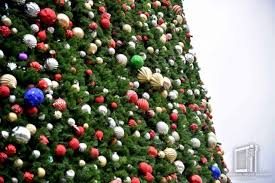 MDH mamlakatlarida o‘rnatilgan eng baland archalar reytingi e’lon qilindi