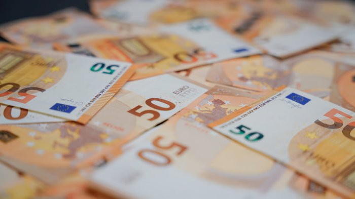 Evropa: eng yuqori maoshni qaysi davlatda to‘lashadi?