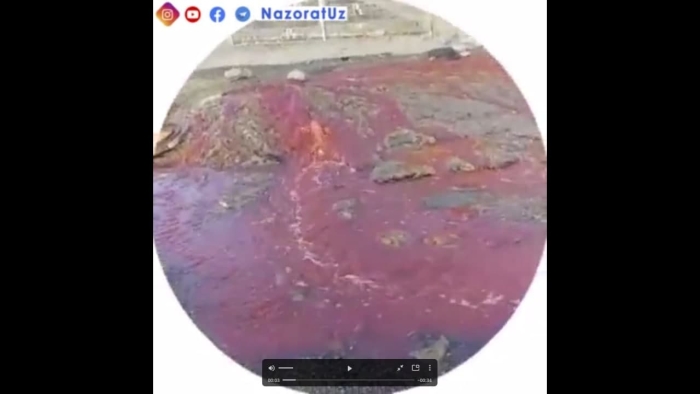 Namangandagi vaziyat: kanalizasiyadan qon oqmoqda. Ahvol yomon (VIDEO)