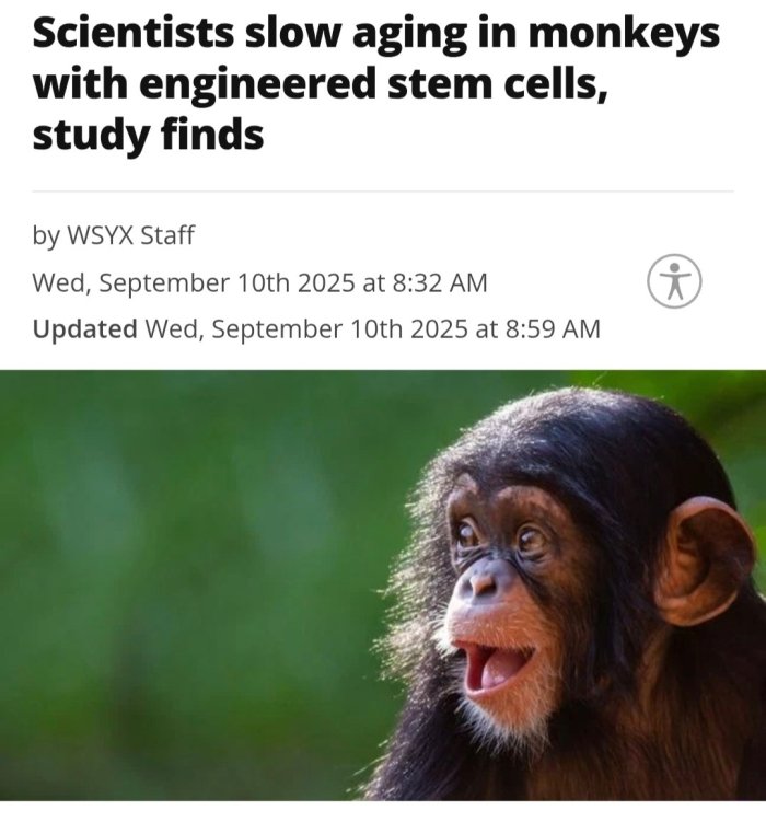 Xitoylik biologlar vaqtni tom ma’noda 7 yil orqaga qaytaradigan in’eksiyalarni ixtiro qilishdi