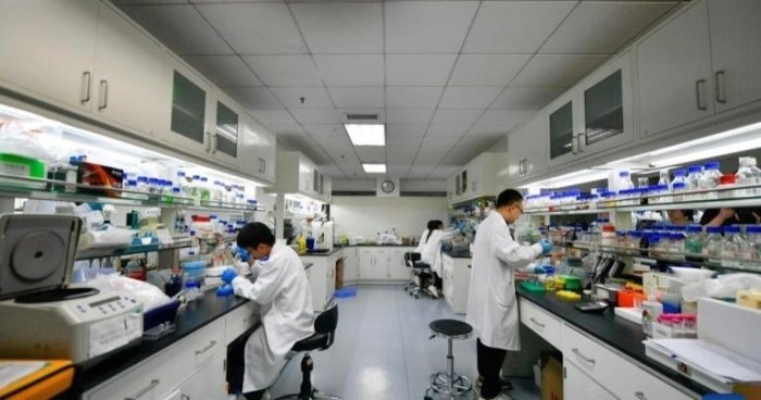 Хитой умрни 120 йилгача узайтирувчи дори ишлаб чиқмоқда