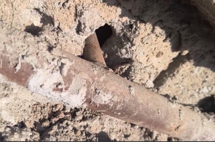 Қарши шаҳрида табиий газдан ноқонуний фойдаланган новвойхона аниқланди