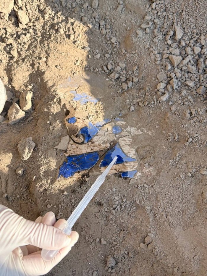 Тошкент вилоятида X-XI асрларга оид деворий суратлар топилди