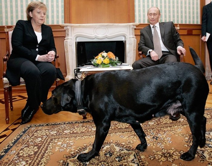 Germaniya Merkel davrida Rossiya armiyasini tayyorlashga yordam berganmi?