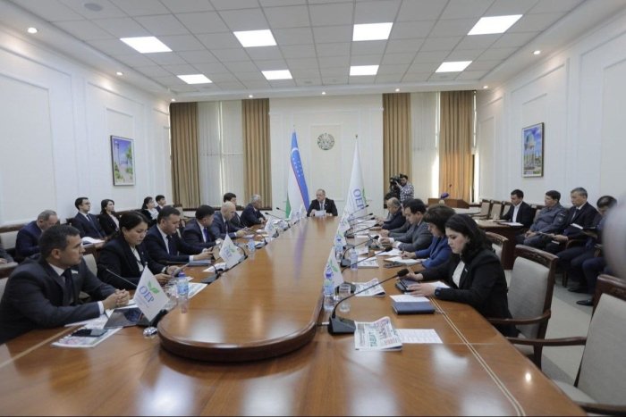 Vazir yoki hokimlikka nomzodlar korrupsiyaga qarshi reja taqdim etadi
