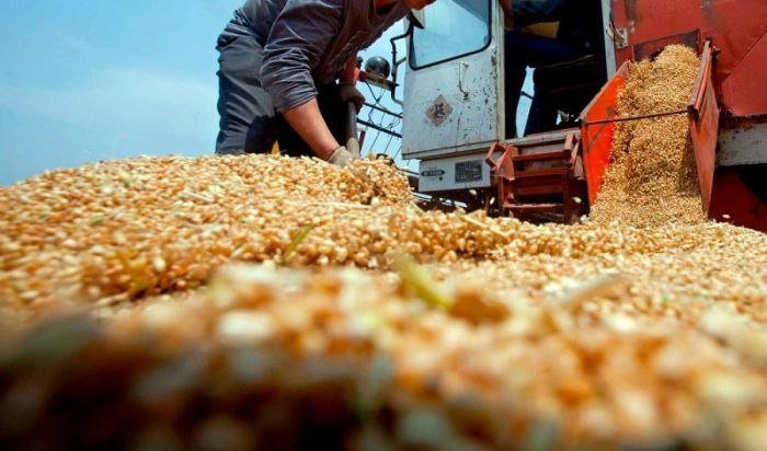 Qozog‘iston Tojikistonga rekord darajada g‘alla jo‘natdi