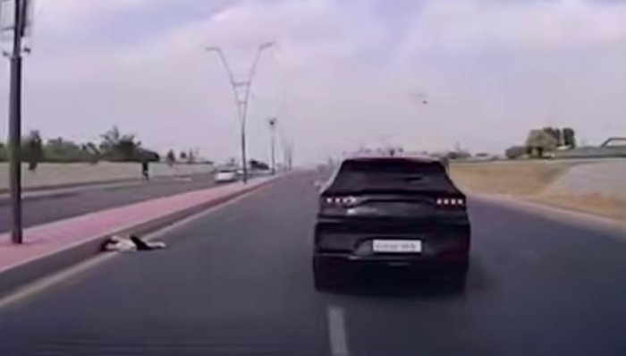 Тошкентда 9 ёшли қизнинг ўлимига сабабчи бўлган BYD ҳайдовчисига чора кўрилди