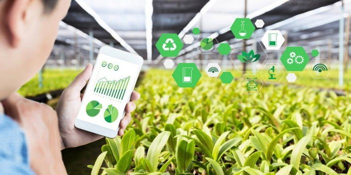 Agrar sohada to‘lovlar agentligi tashkil etiladi