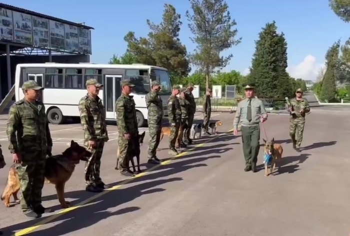 Ayrim tovarlarni shaxsiy ehtiyoj uchun bojsiz olib kirish mumkin bo‘ladi
