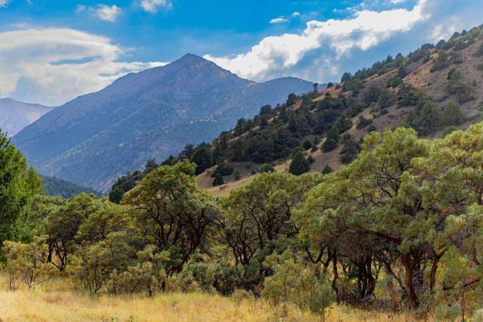 Ўзбекистоннинг миллий табиий мероси объектлари рўйхати янгиланди