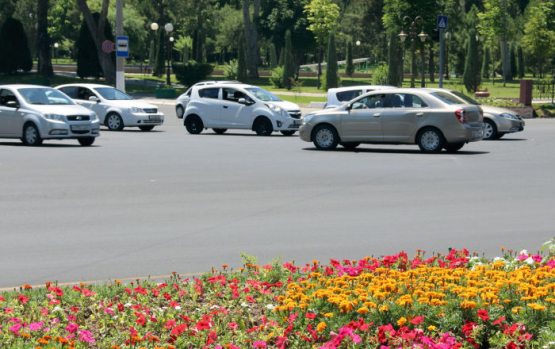 Jismoniy shaxslarga yo‘lovchi tashish huquqi beriladi